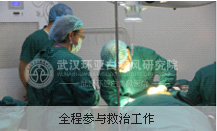 �人���ǵ�ҽ������ȫ�̲�����ι���