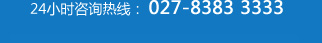 ��ѯ���ߣ�027-8383 3333