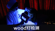 wood�Ƽ��